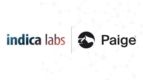 Indica Labs and Paige Forge Strategic Partnership to Expand Integrated AI for Anatomic Pathology Labs