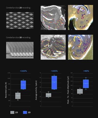 Accura-3D bypasses damaged cell layers from tissue slices to improve signal depths and reproducibility
