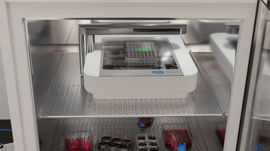 An advanced fluorescence live-cell imaging analysis system CytoSMART Omni FL operates from inside the incubator.”