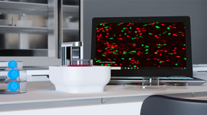 CytoSMART new fluorescence live-cell imager enables researchers to unravel cellular processes in real-time