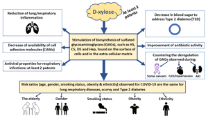 D-Xylose stimulates GAG biosynthesis and potentiates treatment of COVID-19 and associated diseases