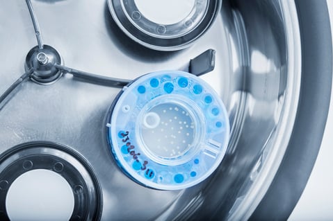 Danish 3D cell culture company Celvivo secures DKK 42 million in funding and appoints new CEO to lead next growth phase