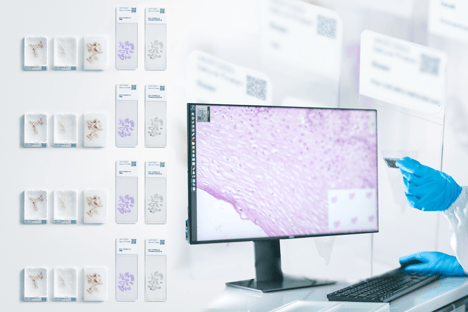 Empowering one seamless digital pathology workflow v2