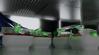 Fluorescence imaging for research groups that study cell viability, co-culture models, and more