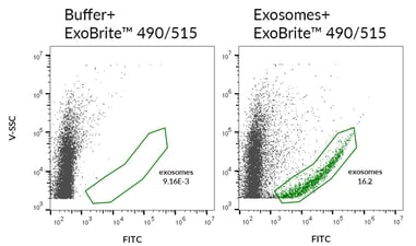 SEC-purified MCF-7-derived exosomes were stained with ExoBrite™ 490/515 EV Membrane Stain (right). Specific staining was seen, compared with the same stain in buffer (left). Exosomes were detected on a CytoFLEX LX flow cytometer in the FITC channel.