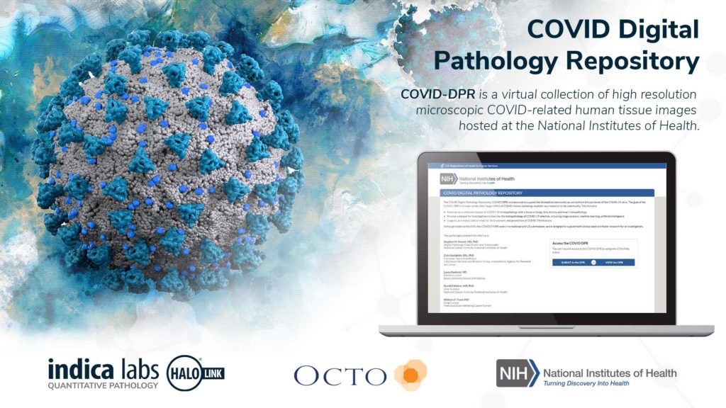 Indica Labs, Octo and Axle work with NIH to launch a global COVID19