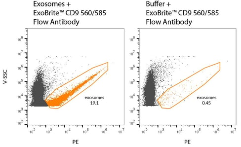 EC-purified MCF-7-derived exosomes were stained with ExoBrite™ CD9 560/585 Flow Antibody (left). Specific staining was seen, compared with the same antibody in buffer (right). Exosomes were detected on a CytoFLEX LX flow cytometer in the PE channel.