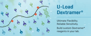 The Launch of U-Load Dextramer® with Peptide Receptive MHC I and MHC II Monomers Greatly Expands Flexibility while Ensuring Reliable Sensitivity in Exploring Diversity of Cellular