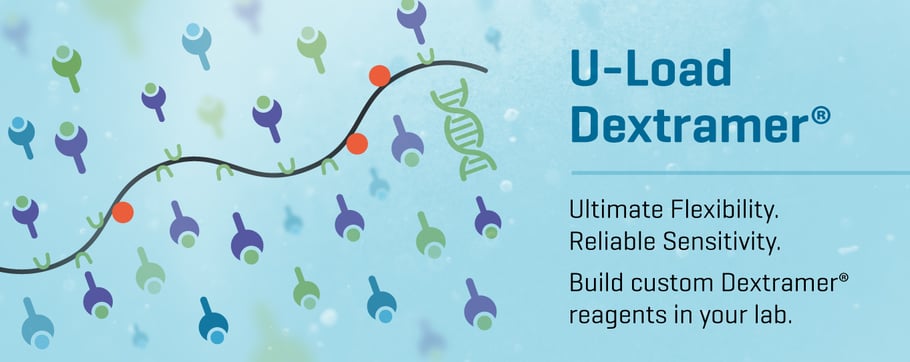 The launch of U-Load Dextramer® with peptide receptive MHC I and MHC II ...