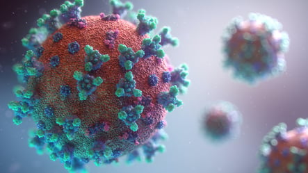 The SARS-CoV-2 virus causing the COVID-19 disease