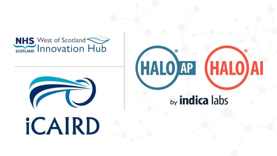iCAIRD Logos PR_Feature Image
